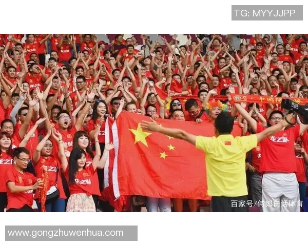 足球专卖店全新上线提供专业装备与个性化服务满足每位球迷的需求