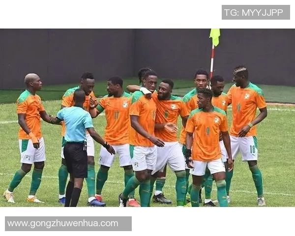 科特迪瓦与荷兰的精彩对决分析及比赛前瞻展望